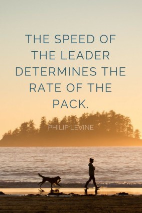 85E300B5-A6B7-4C6A-93BD-C2D84E27A503